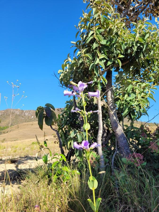 Chales Recanto Da Baleia อัลโต ปาไรโซ เด โกยาส ภายนอก รูปภาพ